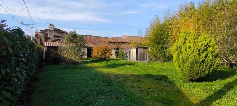 Maison à MONTJEAN