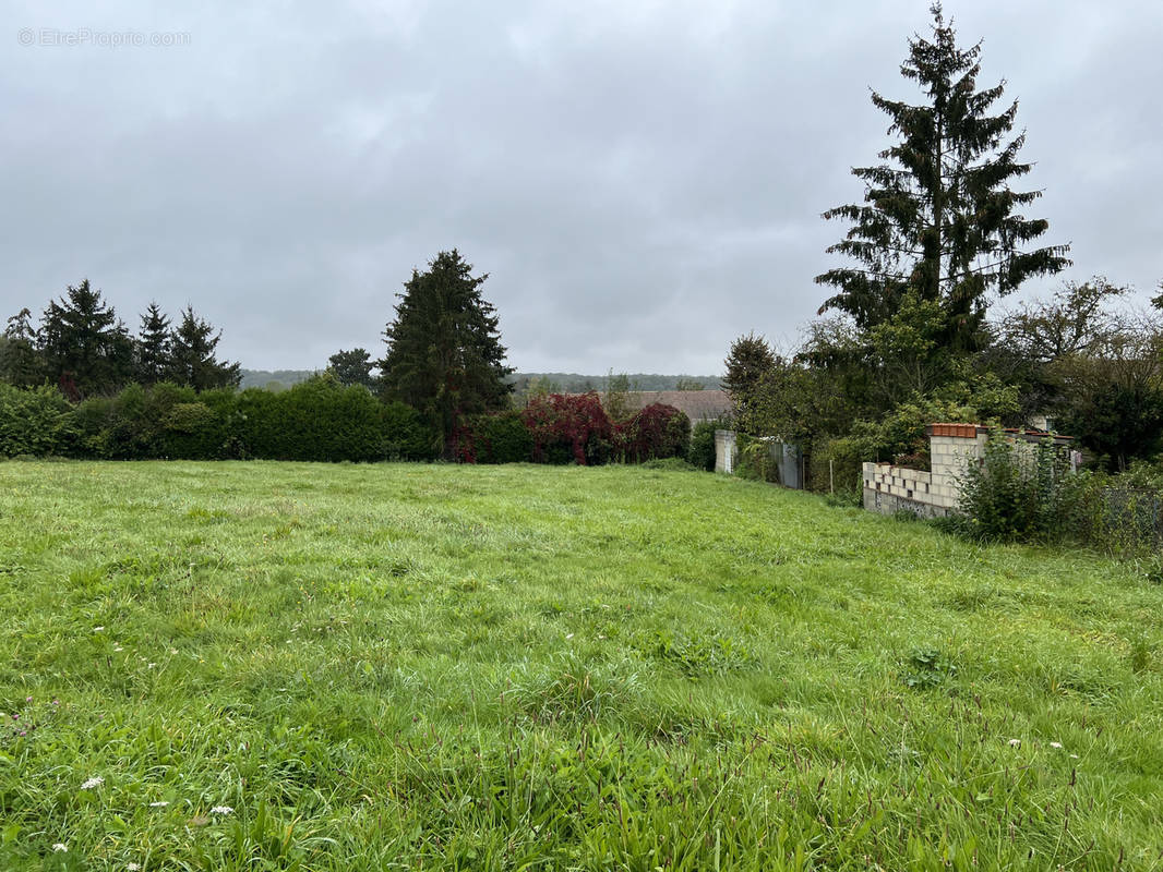 Terrain à SIGNY-SIGNETS