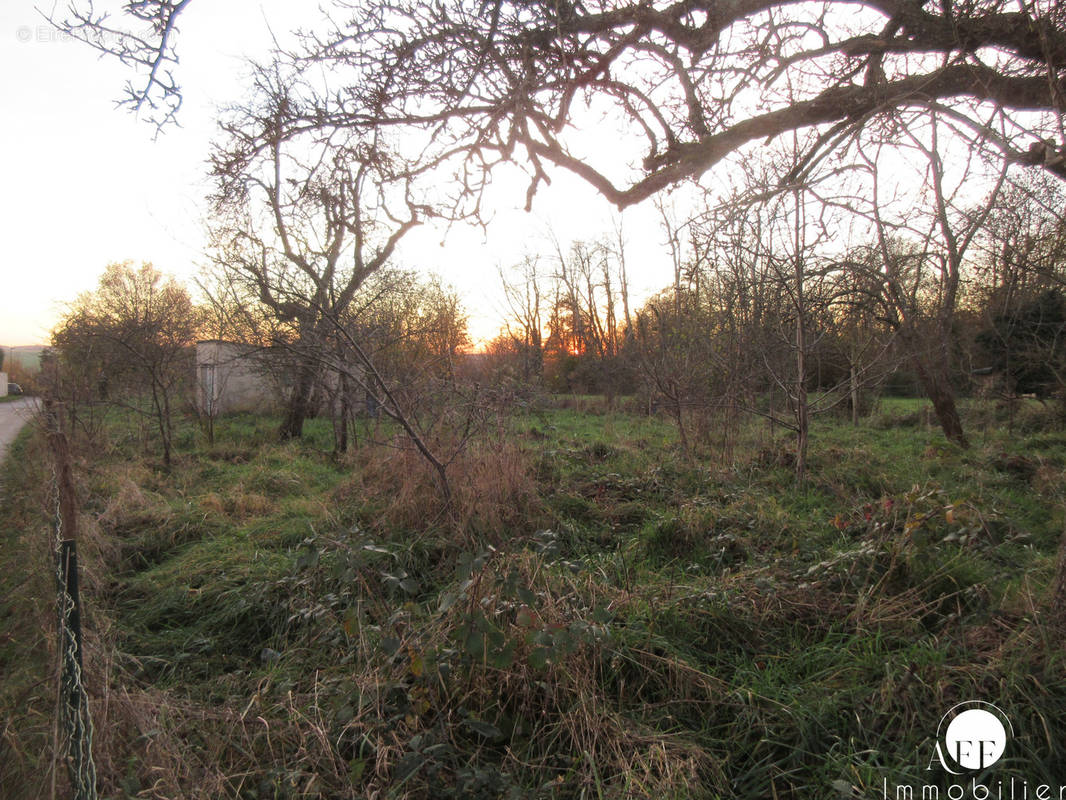 Terrain à JOUY-SUR-MORIN