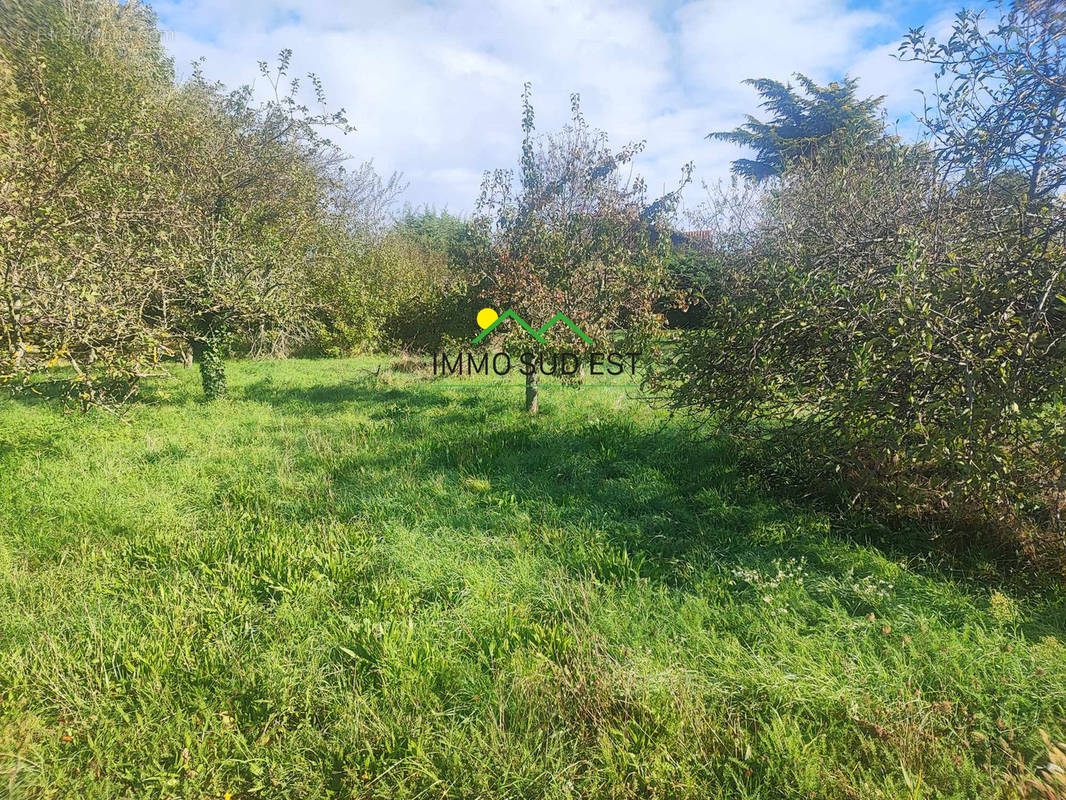 Terrain à ALBOUSSIERE