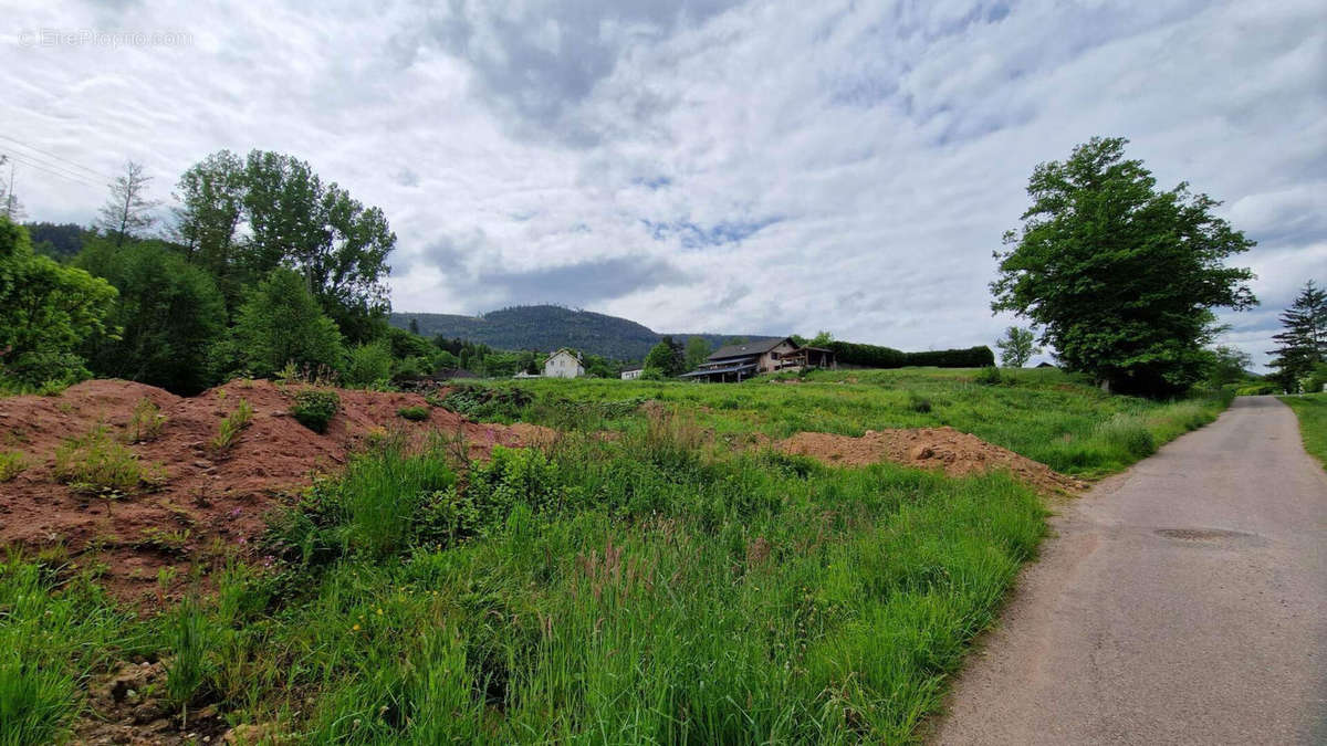 Terrain à SAINT-DIE-DES-VOSGES