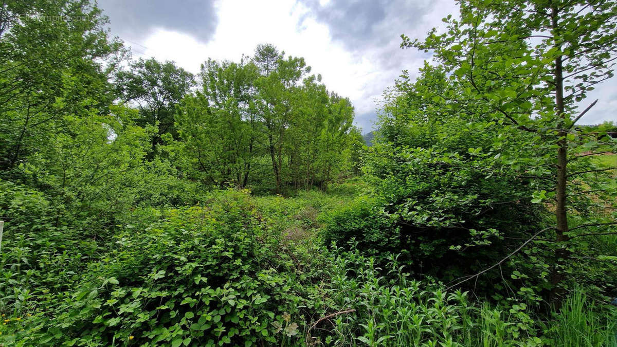 Terrain à SAINT-DIE-DES-VOSGES