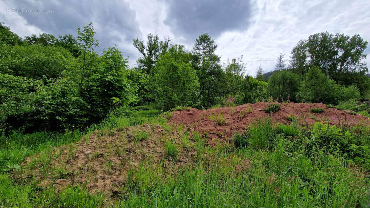 Terrain à SAINT-DIE-DES-VOSGES