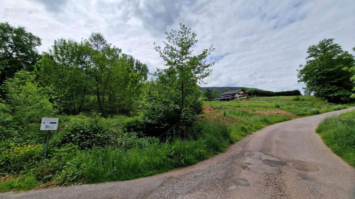 Terrain à SAINT-DIE-DES-VOSGES