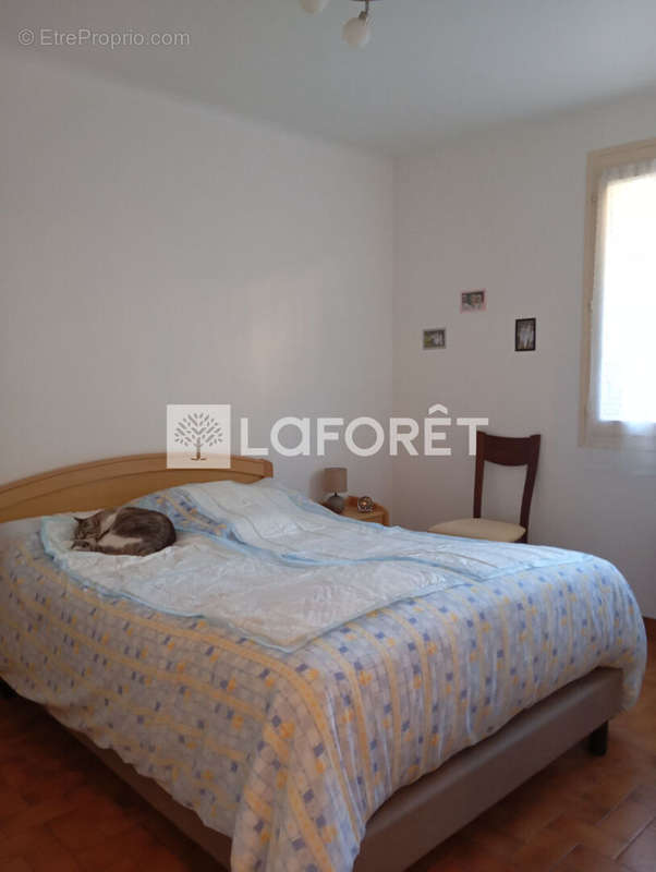 Appartement à AMELIE-LES-BAINS-PALALDA