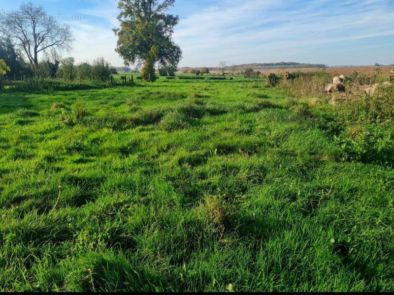 Terrain à FLERS