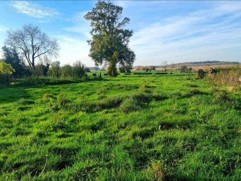 Terrain à FLERS