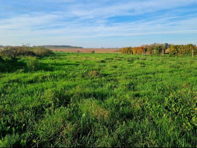 Terrain à FLERS