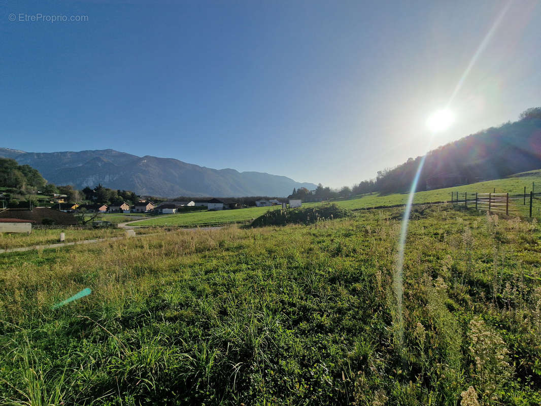 Terrain à L&#039;ALBENC