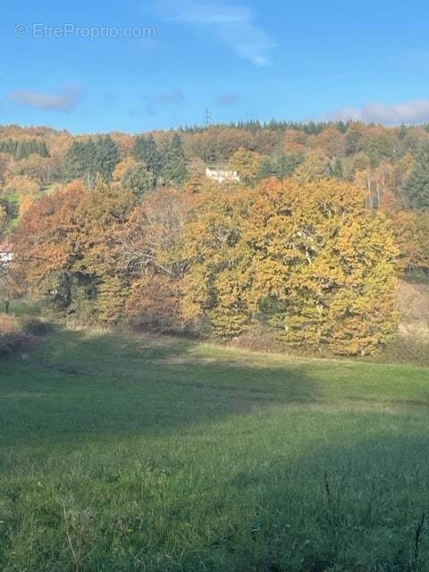 Terrain à SAINT-JUNIEN