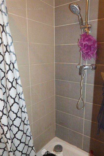 ...Equipée d&#039;une douche et d&#039;un lavabo - Appartement à VILLENAVE-D&#039;ORNON