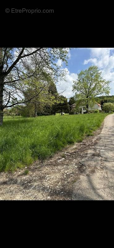 Terrain à VALLEROIS-LE-BOIS