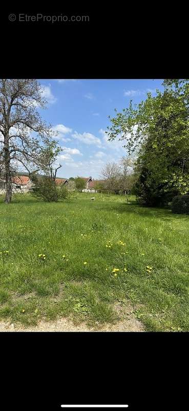 Terrain à VALLEROIS-LE-BOIS