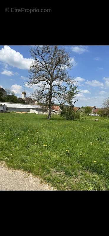 Terrain à VALLEROIS-LE-BOIS