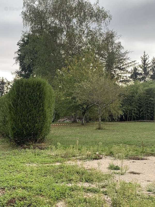 Terrain à ESMOULINS