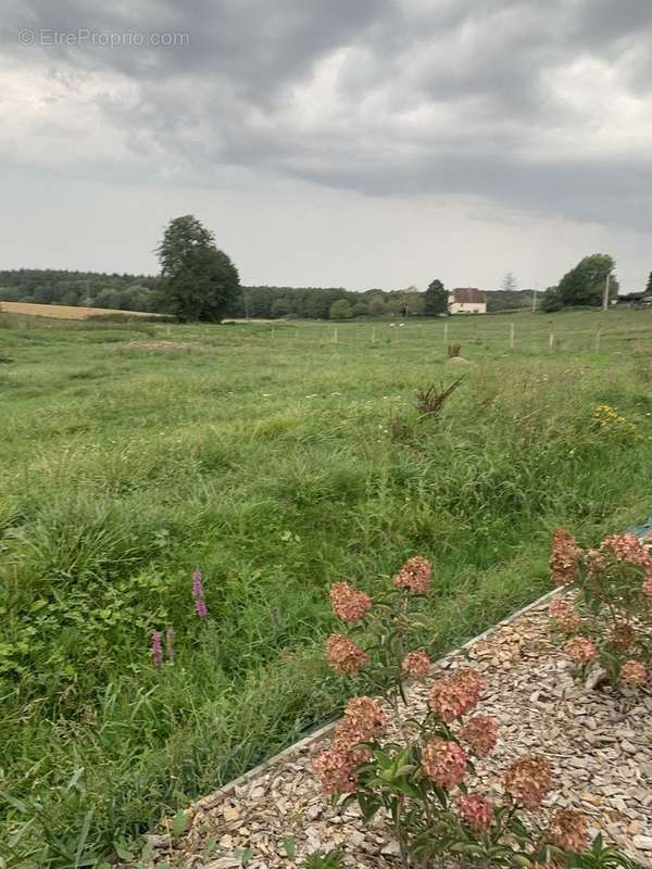 Terrain à VELESMES-ECHEVANNE