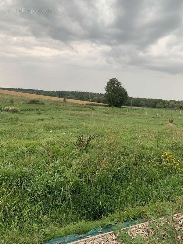 Terrain à VELESMES-ECHEVANNE