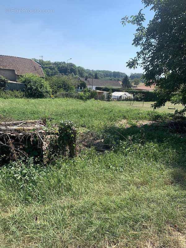 Terrain à NOIDANS-LE-FERROUX