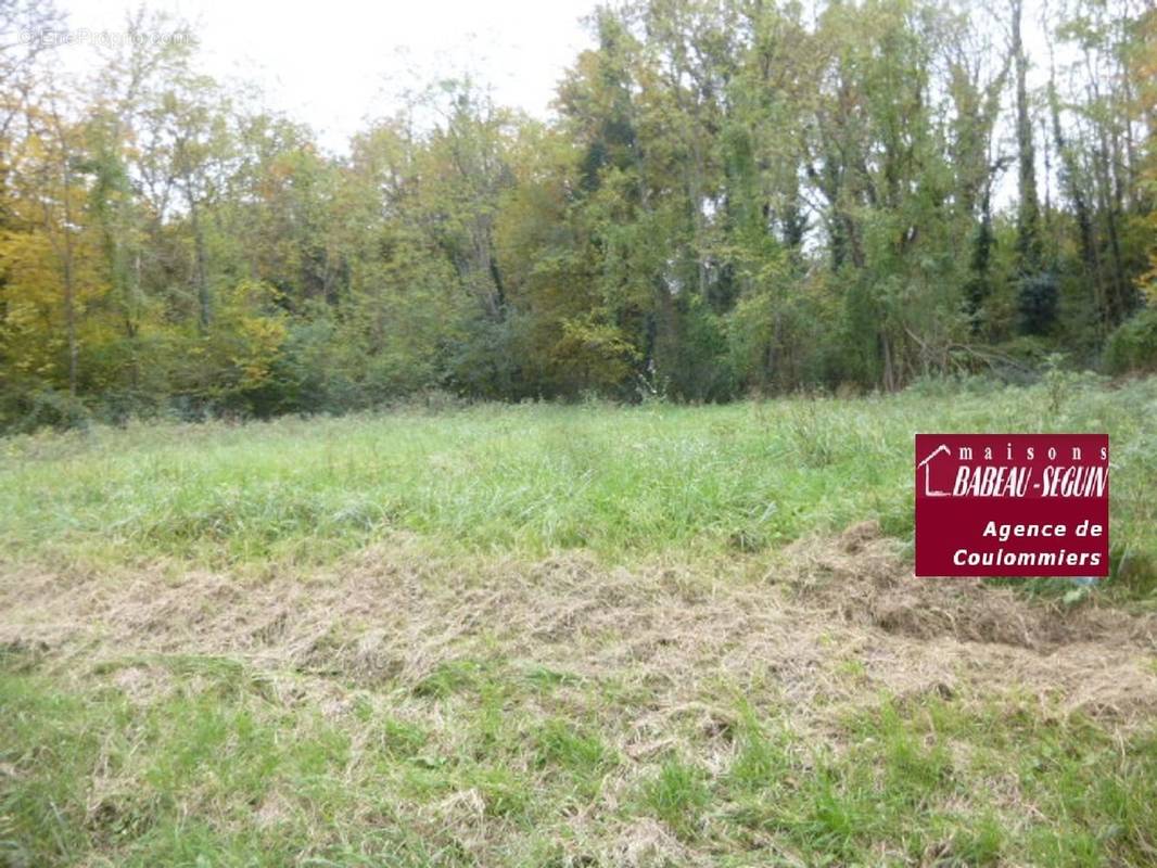 Terrain à LA FERTE-GAUCHER