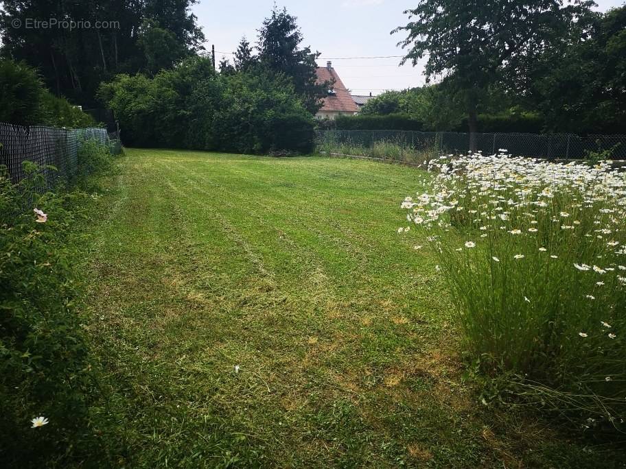 Terrain à CHAUMES-EN-BRIE