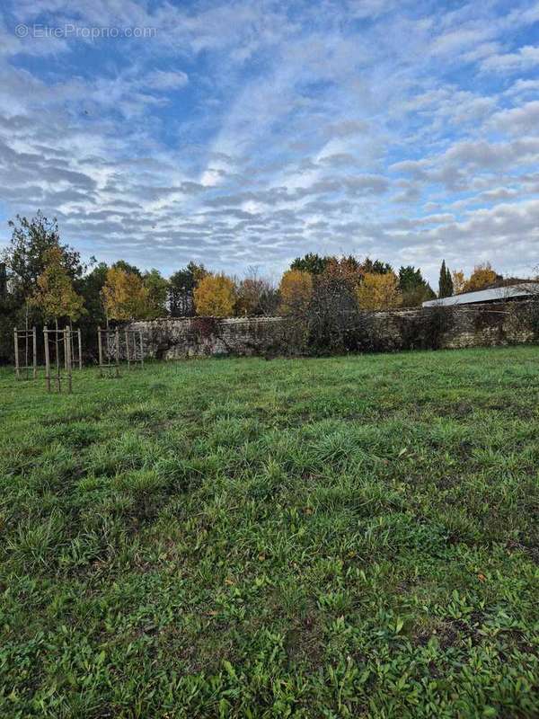 Terrain à JARNAC