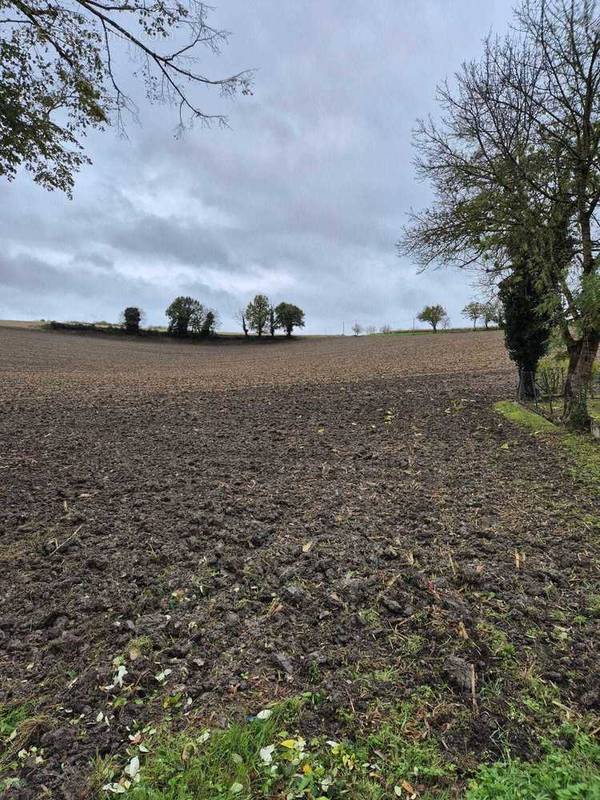 Terrain à CHAMPAGNE-VIGNY