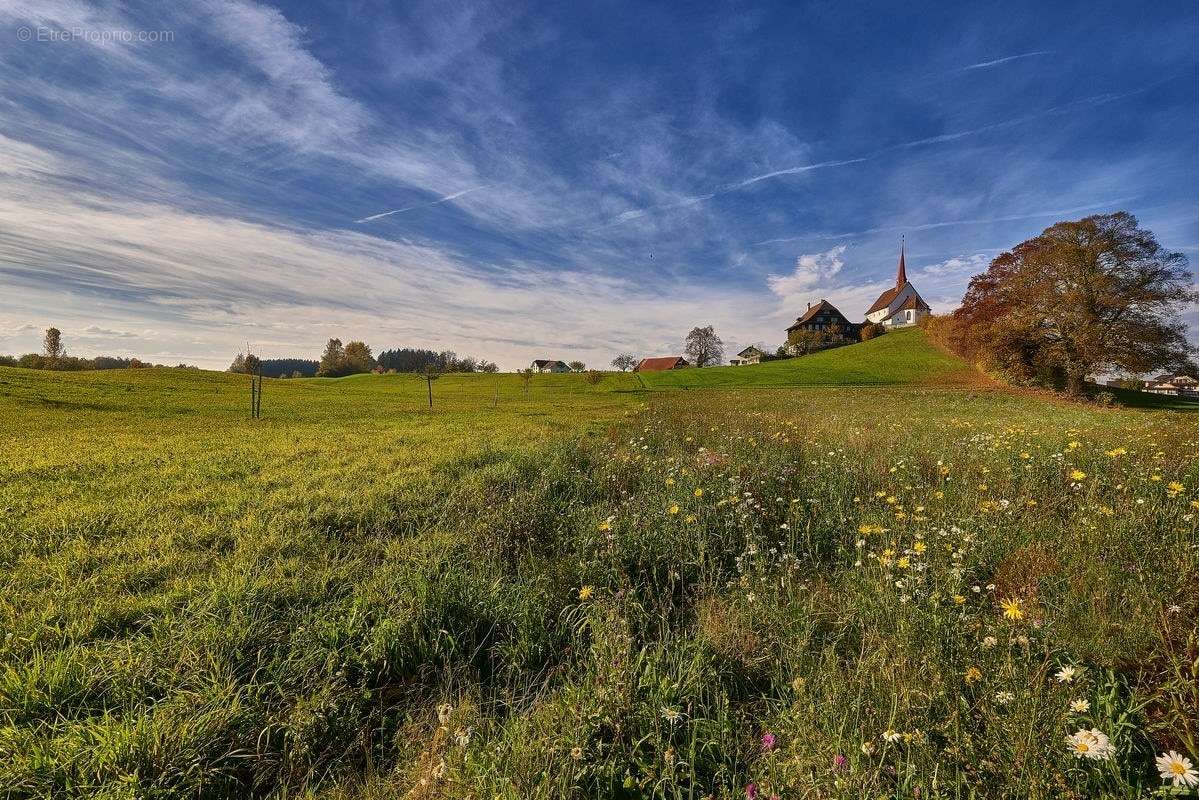 Terrain à ANDELOT-EN-MONTAGNE