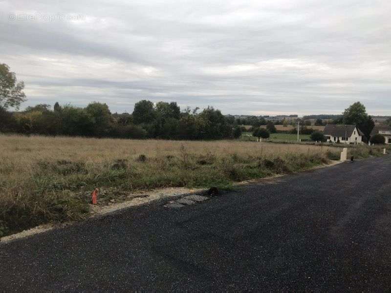 Terrain à DOMART-SUR-LA-LUCE