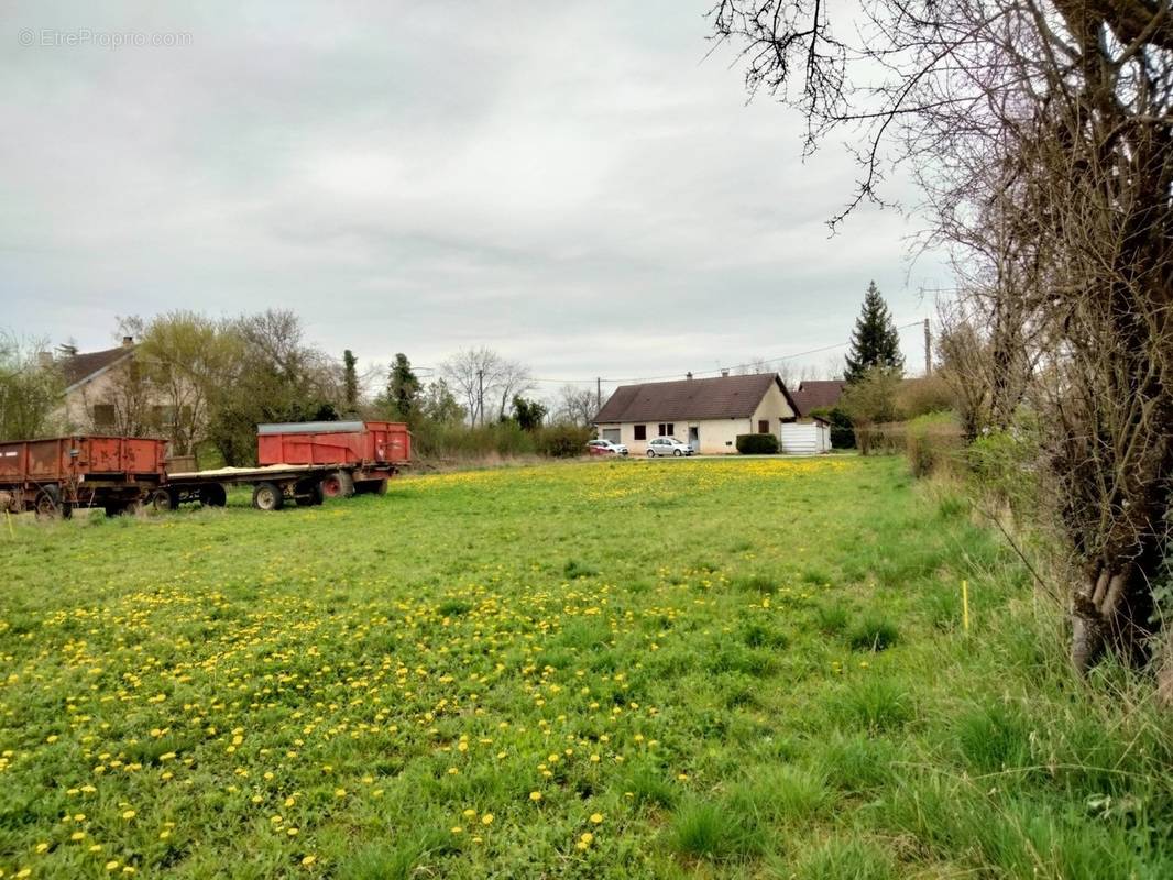 Terrain à BEAUVAL