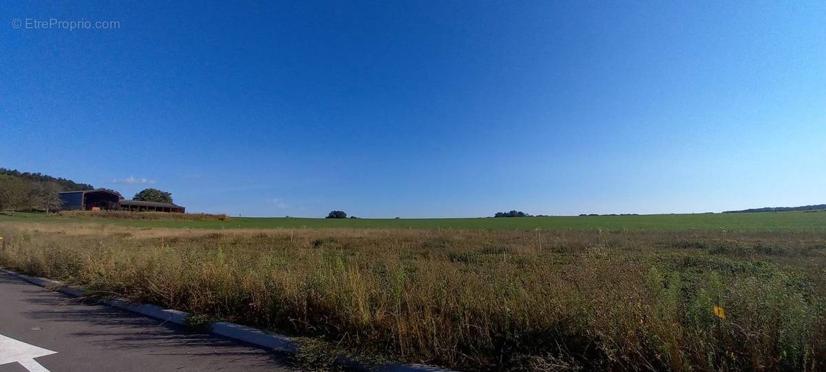 Terrain à NEUVELLE-LES-CROMARY