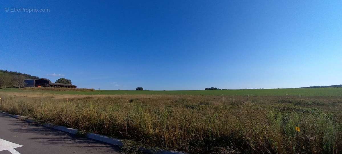 Terrain à NEUVELLE-LES-CROMARY