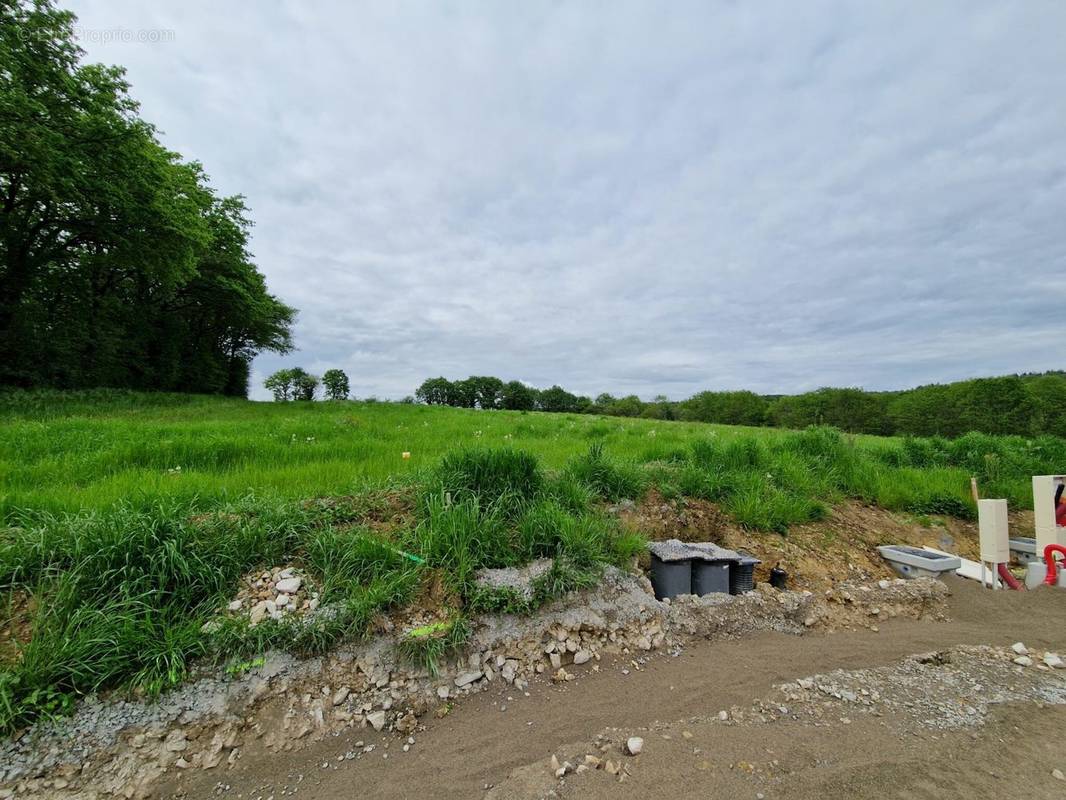 Terrain à MONTARLOT-LES-RIOZ