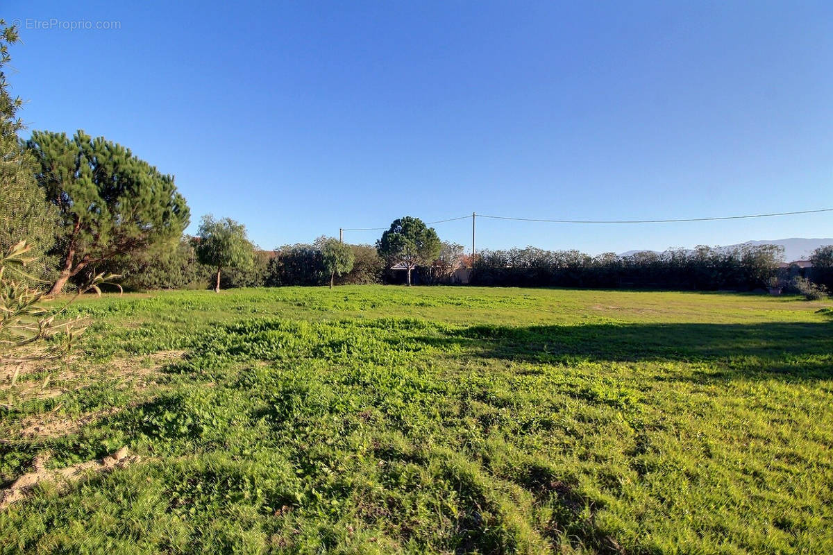 Terrain à ELNE