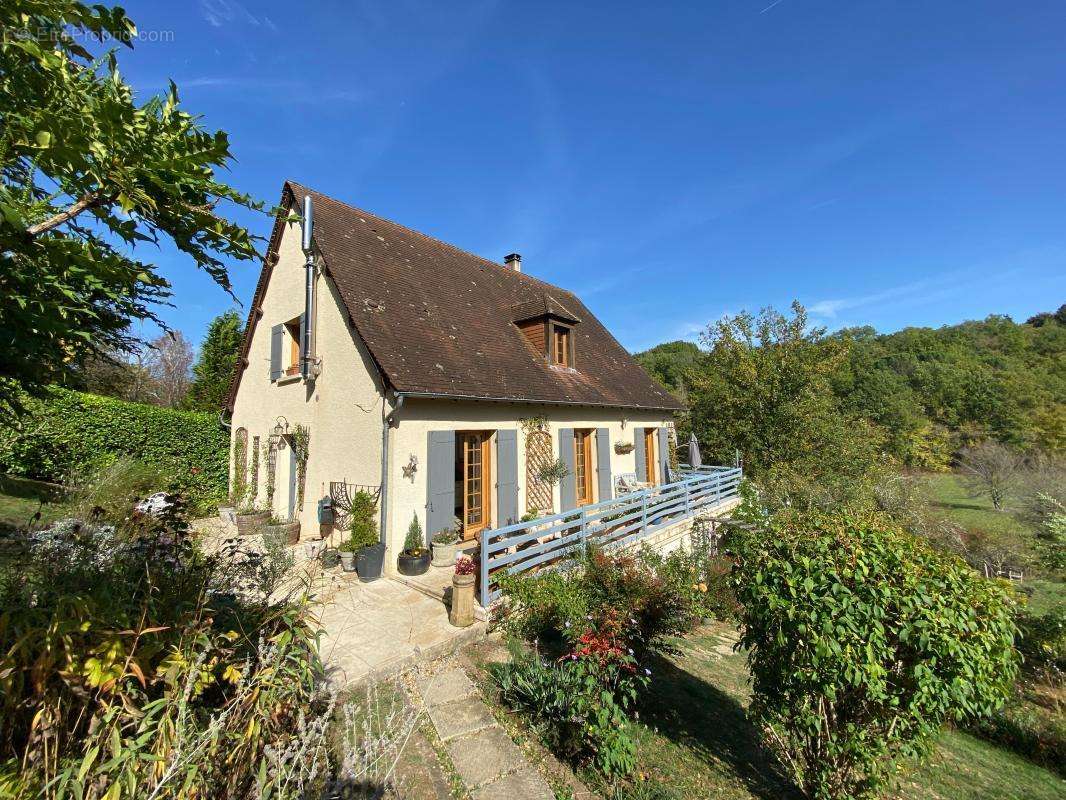 Maison à LE BUISSON-DE-CADOUIN