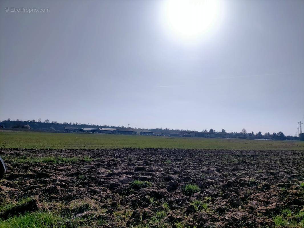 Terrain à CHATUZANGE-LE-GOUBET