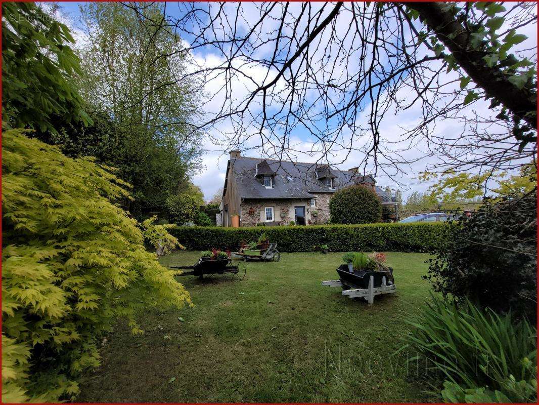 Maison à TREVE