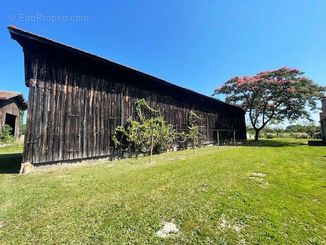 Maison à BAZAS