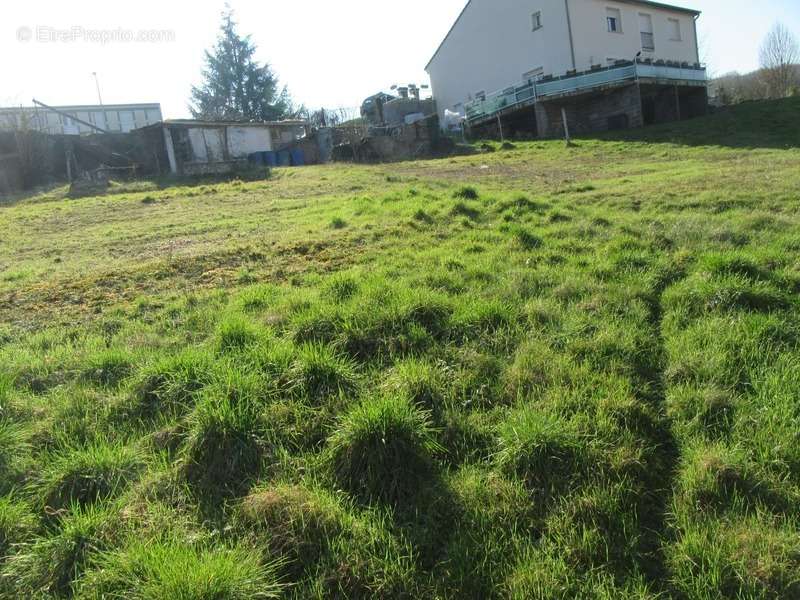 Terrain à ARS-SUR-MOSELLE