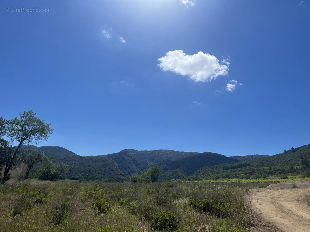 Terrain à SIGEAN