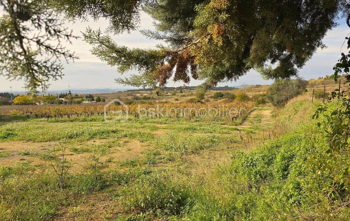 Terrain à SAINT-PARGOIRE