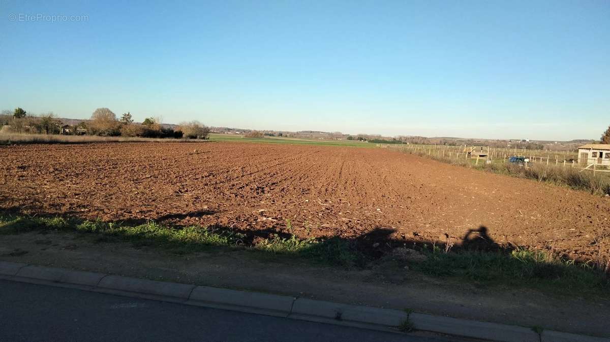 Terrain à MARIGNY-BRIZAY