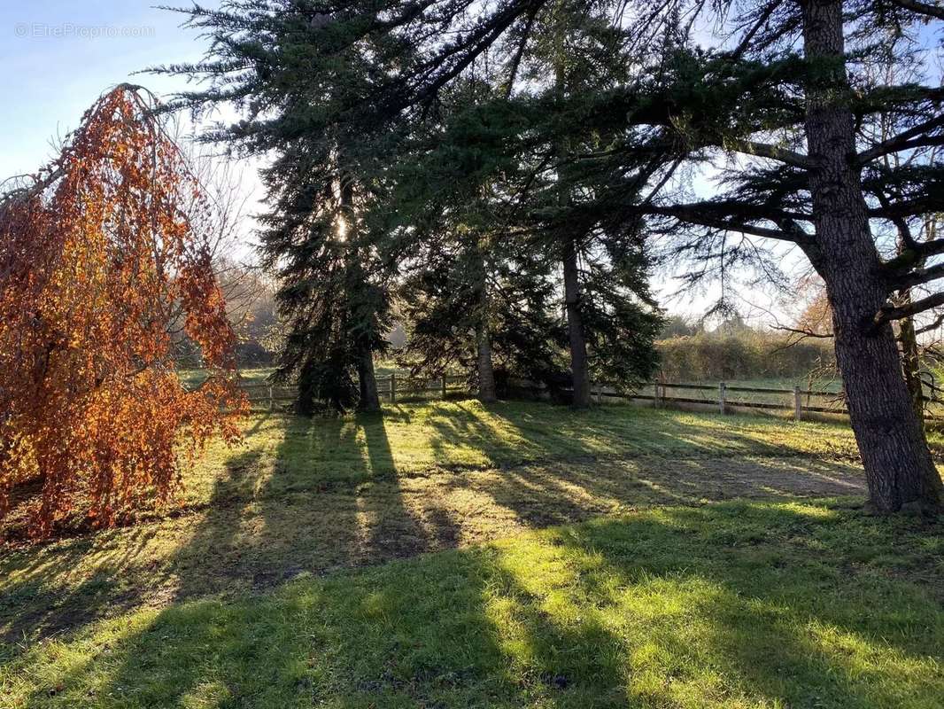 Appartement à ARGENTON-SUR-CREUSE