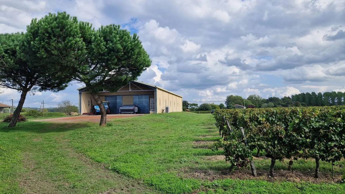 Maison à LANGON