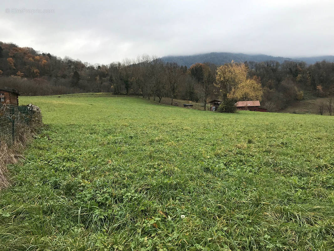 Terrain à LA CHAPELLE-BLANCHE