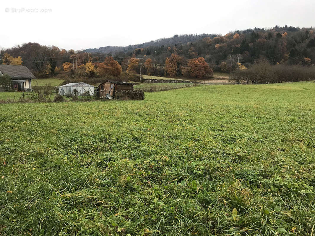 Terrain à LA CHAPELLE-BLANCHE