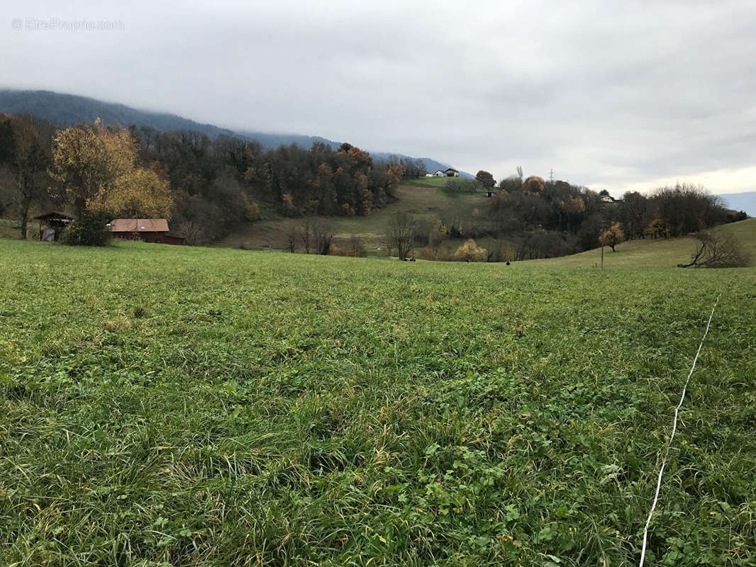 Terrain à LA CHAPELLE-BLANCHE