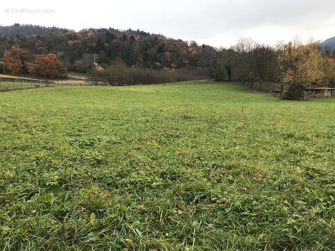 Terrain à LA CHAPELLE-BLANCHE