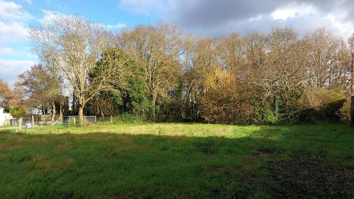 Terrain à SAINT-ANDRE-DES-EAUX