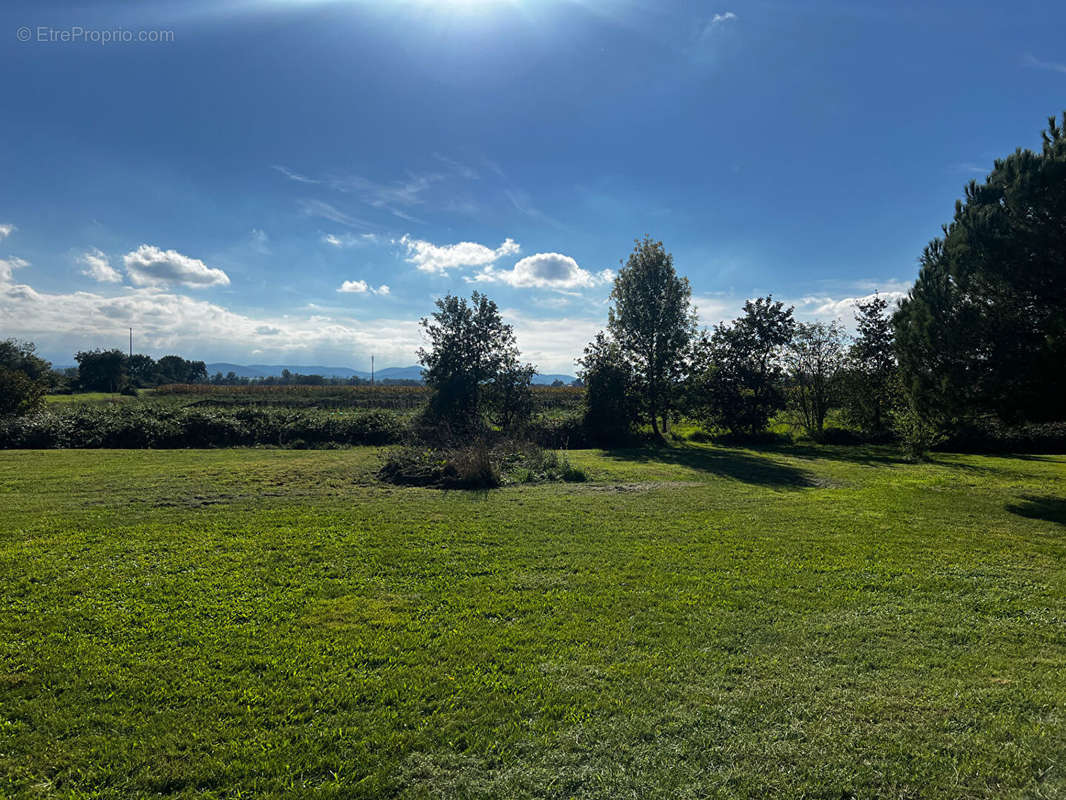 Terrain à SAINT-JULIEN-SUR-GARONNE