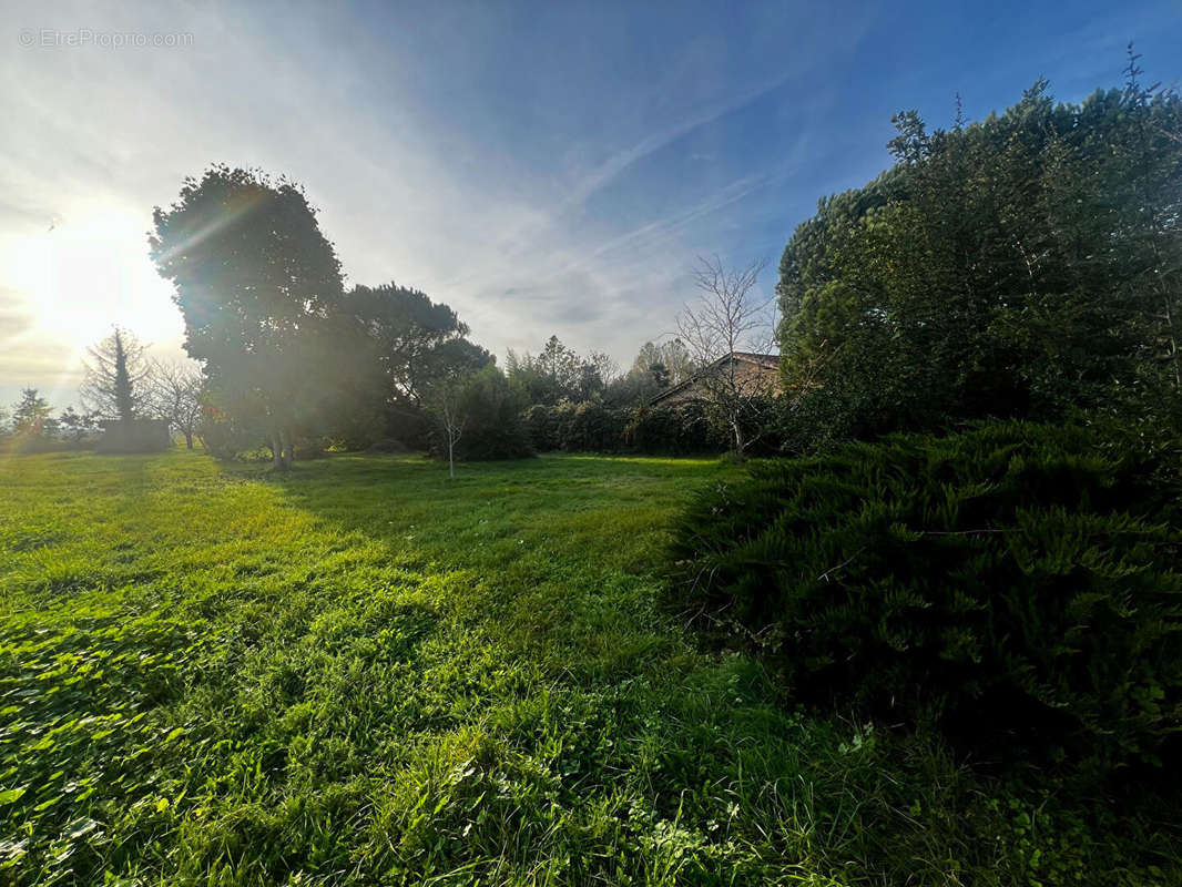 Terrain à SAINT-JULIEN-SUR-GARONNE